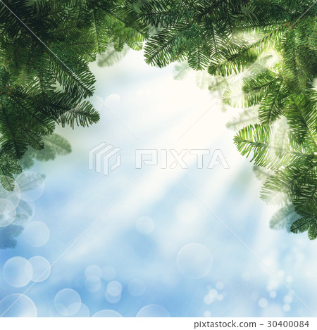 Christmas Background. Green Xmas Tree Twig 30400084