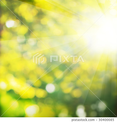 Summer Background with Green Foliage 30400085
