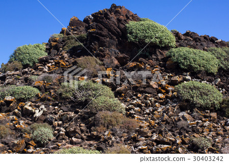 Arid territory of Lobos island, Canary, Spain Arid territory of Lobos island, Canary, Spain 30403242