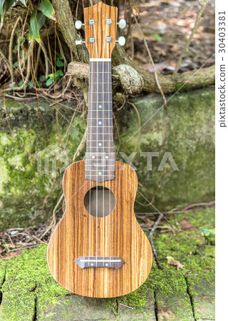 Ukulele in the garden Ukulele in the garden 30403381