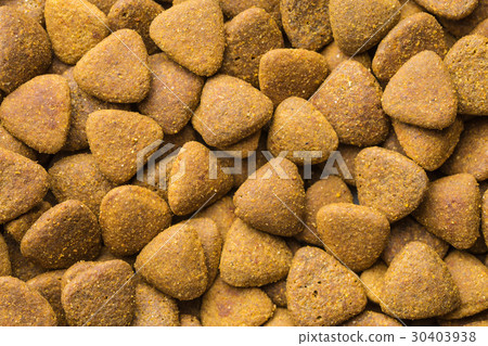 Dry kibble dog food. Dry kibble dog food. 30403938