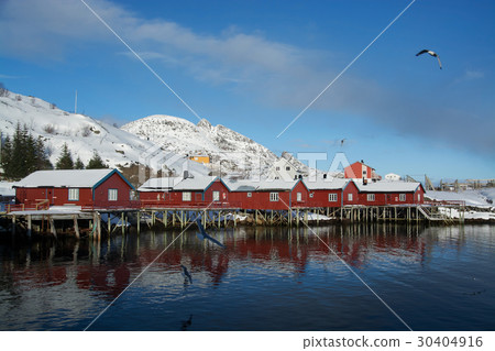 Reine, Lofoten, Norway 30404916
