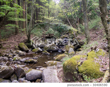 [Izu] Daruma Mountain Plateau "Kiyose no Mori" [Early summer] 30406590