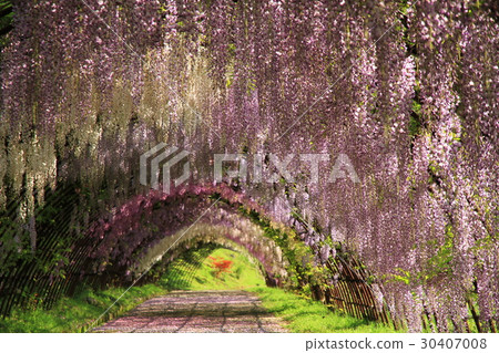 Kawachi Fuzen Kawachi Fuzen 30407008