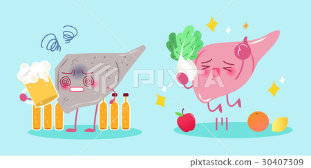 liver with health concept liver with health concept 30407309