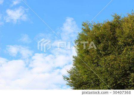 天空和綠色 天空和綠色 30407368