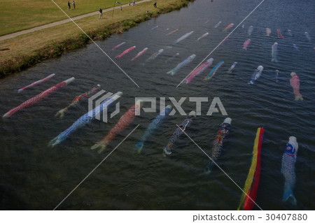 Carp streamer river sink 30407880