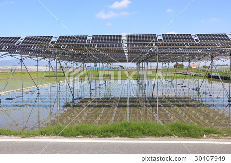 Solar panel _ farming type solar Mie prefecture Kiso Cape Town Solar panel _ farming type solar Mie prefecture Kiso Cape Town 30407949
