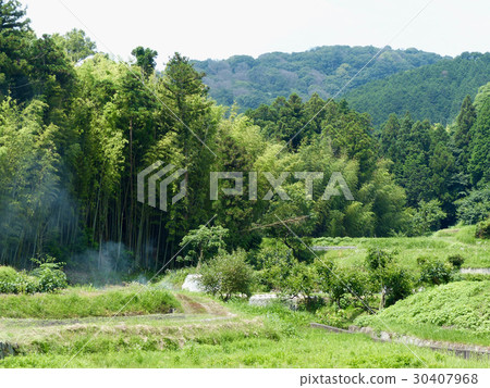 Fresh green Satoyama 30407968