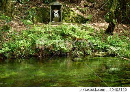 Ikeyama water source in Kumamoto Prefecture 30408130