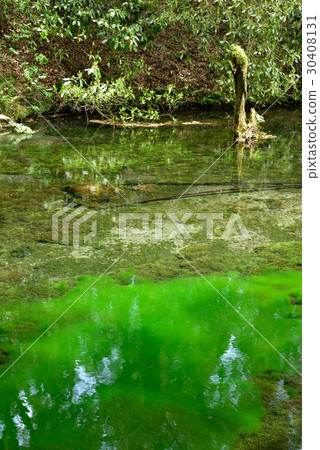 Ikeyama water source in Kumamoto Prefecture 30408131