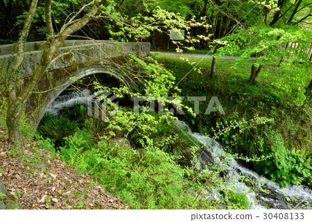 Ikeyama water source in Kumamoto Prefecture 30408133