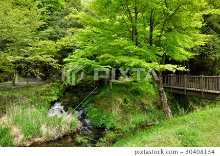 Ikeyama water source in Kumamoto Prefecture 30408134