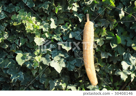 Loafers scourer 30408146