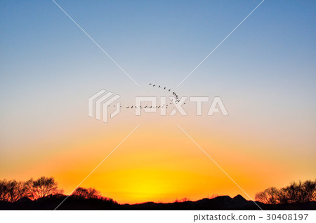 The landscape of the swans 30408197