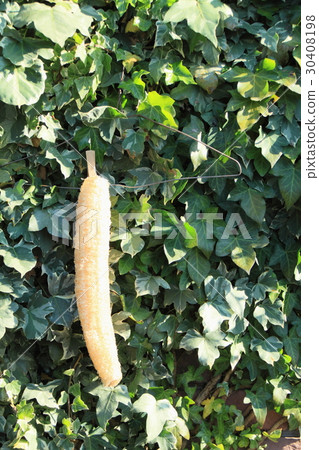 Loafers scourer Loafers scourer 30408198