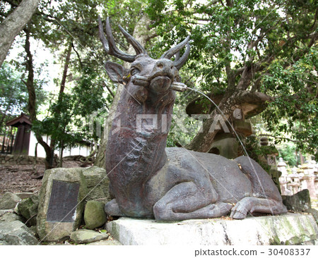 Kasuga Taisha Shrimp Handwater 30408337