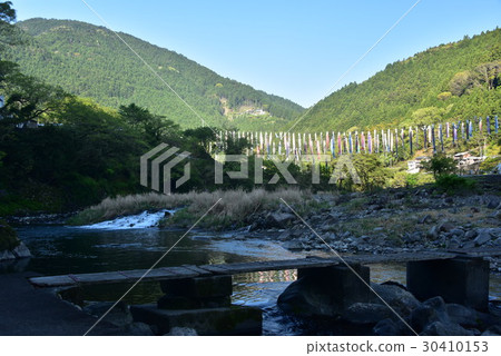 Carp streamer of Katsuura River Carp streamer of Katsuura River 30410153