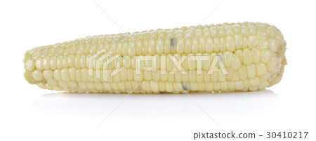 Corn boiled on white Corn boiled on white 30410217
