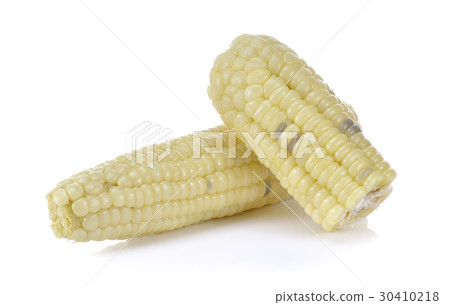 Corn boiled on white Corn boiled on white 30410218
