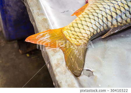 Fresh fish on a marketplace table Fresh fish on a marketplace table 30410322