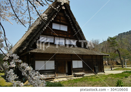 Spring Shirakawago Goseisaku Village 30410608
