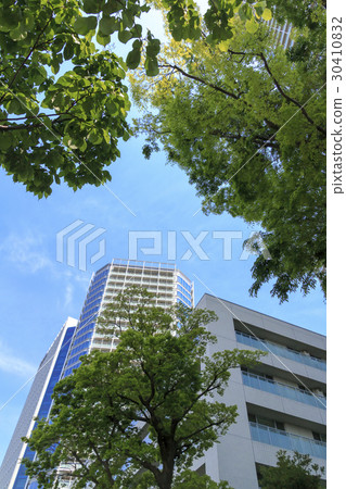 [東京]城市景觀（Niko Tamagawa·初夏/春季版） 30410832