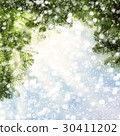 Christmas Background with Christmas Tree Twig 30411202