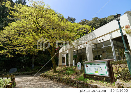 美濃公園昆蟲館和Takikichi 美濃公園昆蟲館和Takikichi 30411600