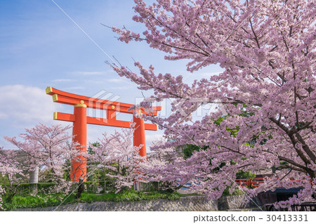 Otorii和櫻花在京都平安神宮 Otorii和櫻花在京都平安神宮 30413331