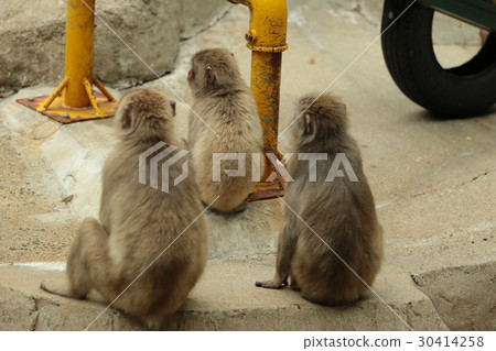 一個可愛的背部 30414258