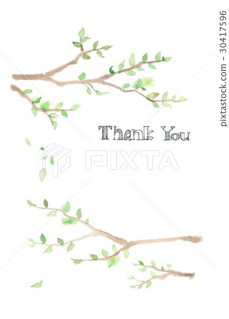 卡片，信件，新鮮的綠色 30417596