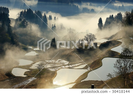  Rice terrace of Gamo 30418144