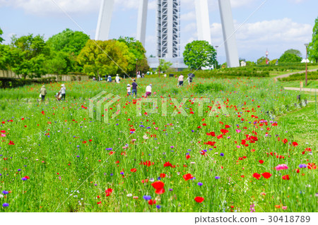 138塔花場 30418789