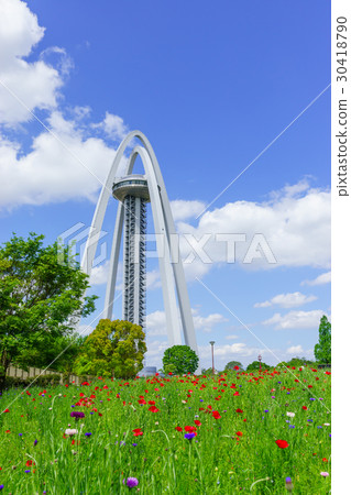 138塔花場 138塔花場 30418790