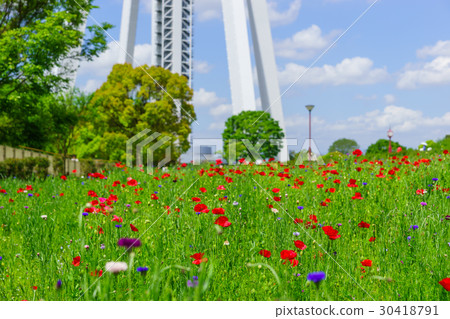 138 Tower Flower Field 138 Tower Flower Field 30418791