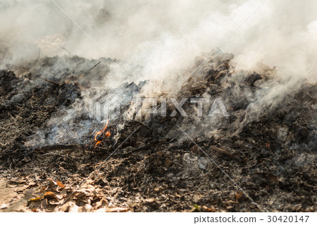 Burning the fields of global warming and pollution 30420147