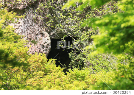 小川縣小島島Kanjisagi Osugi Cave(表12,第4視圖) 小川縣小島島Kanjisagi Osugi Cave(表12,第4視圖) 30420294
