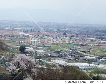 Scenery of Koshu city Scenery of Koshu city 30422141
