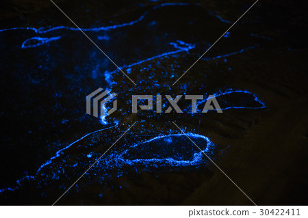 藍眼淚06 30422411