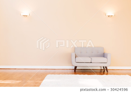 Large luxury interior home with loveseat 30424596