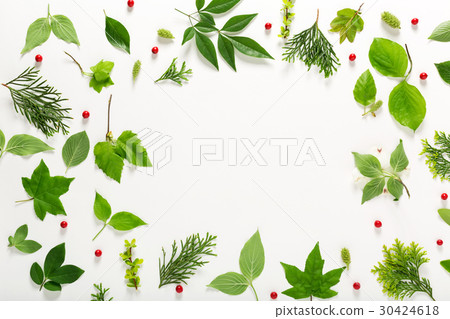 Collection of green leaves top view 30424618