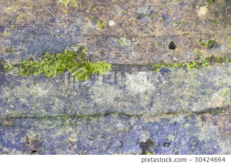 Background of wet bricks Background of wet bricks 30424664