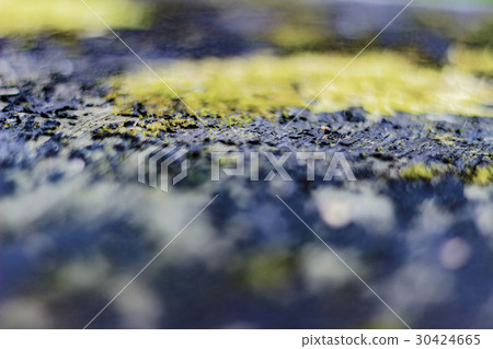 Background texture cracked wood Background texture cracked wood 30424665