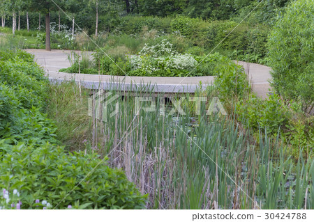 Landscape of a park Landscape of a park 30424788