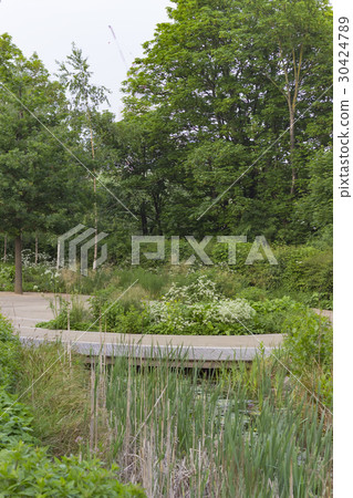 Landscape of a park Landscape of a park 30424789