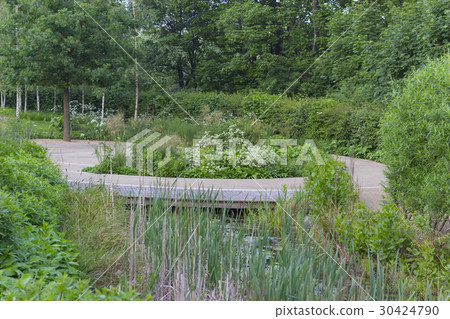 Landscape of a park Landscape of a park 30424790