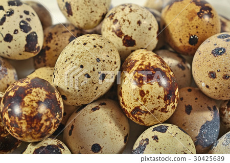 Quail eggs as background texture 30425689