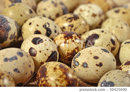 Quail eggs as background texture Quail eggs as background texture 30425690