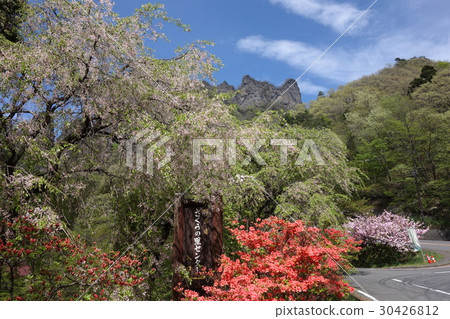 群馬縣立森林公園Sakura no Sato 30426812